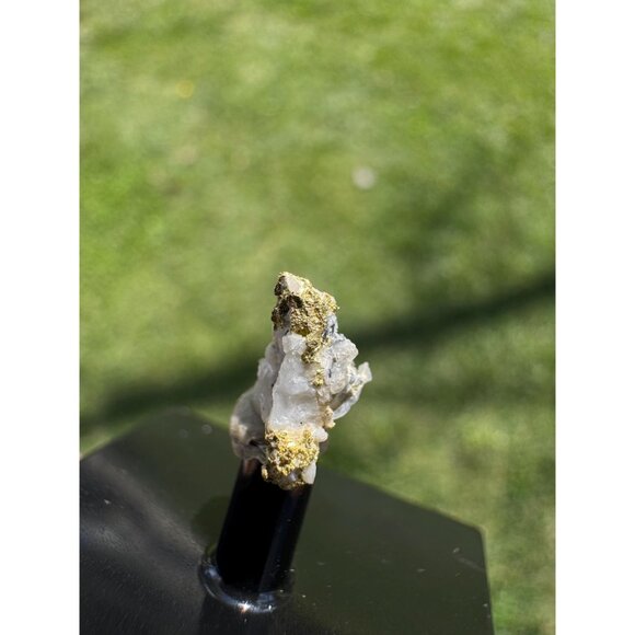 Gold on Quartz - Natural California Gold Specimen in Perky Display Box - #13 - Picture 6 of 9
